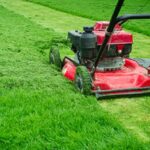 cắt tỉa cỏ sân vườn chuyên nghiệp